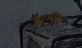 CatDog Page
